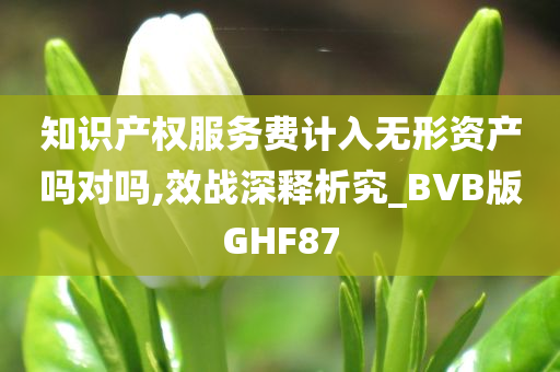 知识产权服务费计入无形资产吗对吗,效战深释析究_BVB版GHF87