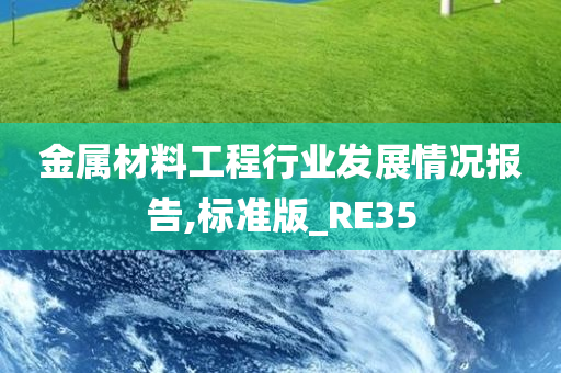 金属材料工程行业发展情况报告,标准版_RE35