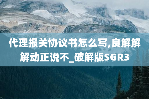 代理报关协议书怎么写,良解解解动正说不_破解版SGR3