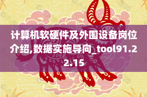 计算机软硬件及外围设备岗位介绍,数据实施导向_tool91.22.15