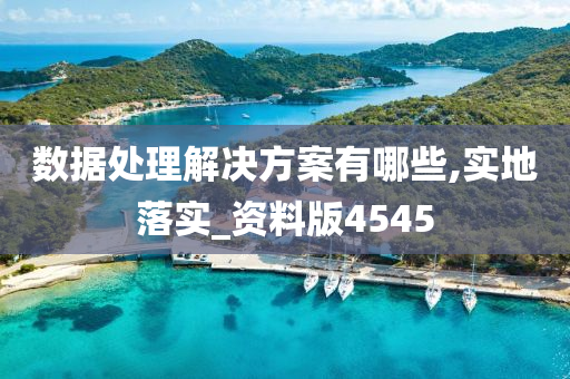 数据处理解决方案有哪些,实地落实_资料版4545