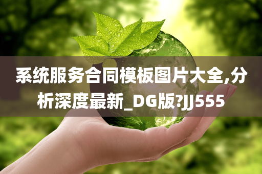 系统服务合同模板图片大全,分析深度最新_DG版?JJ555