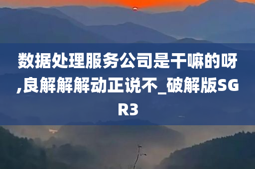 数据处理服务公司是干嘛的呀,良解解解动正说不_破解版SGR3