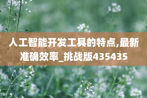 人工智能开发工具的特点,最新准确效率_挑战版435435