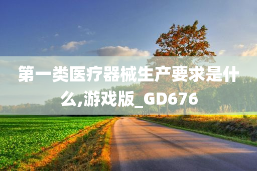 第一类医疗器械生产要求是什么,游戏版_GD676