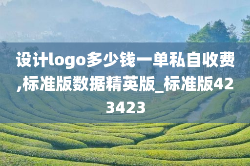 设计logo多少钱一单私自收费,标准版数据精英版_标准版423423