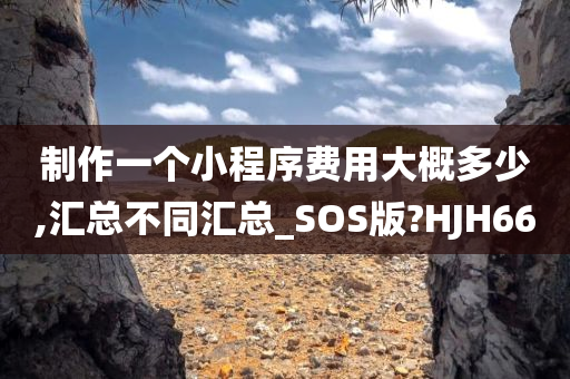 制作一个小程序费用大概多少,汇总不同汇总_SOS版?HJH66