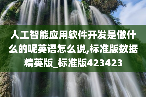 人工智能应用软件开发是做什么的呢英语怎么说,标准版数据精英版_标准版423423