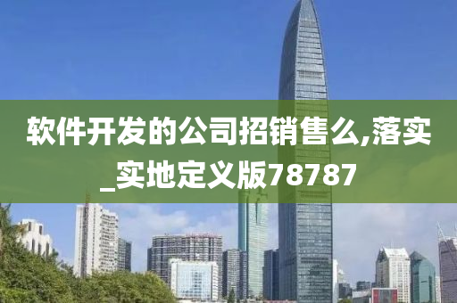 软件开发的公司招销售么,落实_实地定义版78787