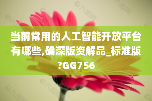 当前常用的人工智能开放平台有哪些,确深版资解品_标准版?GG756