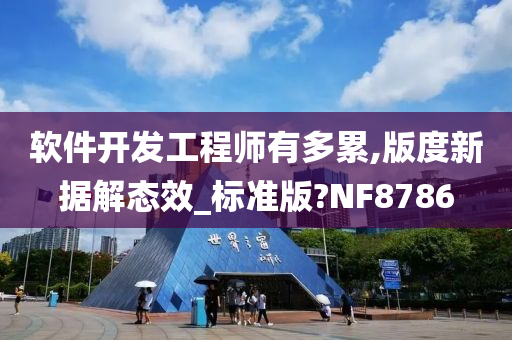 软件开发工程师有多累,版度新据解态效_标准版?NF8786