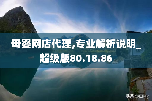 母婴网店代理,专业解析说明_超级版80.18.86