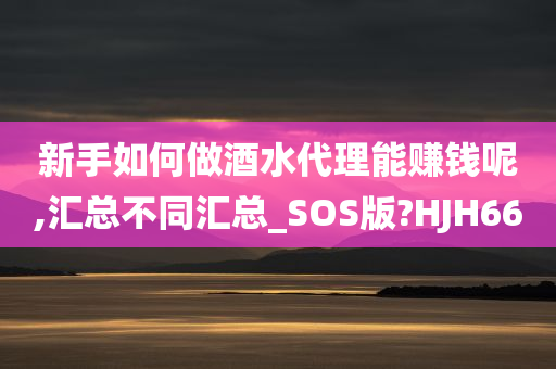 新手如何做酒水代理能赚钱呢,汇总不同汇总_SOS版?HJH66