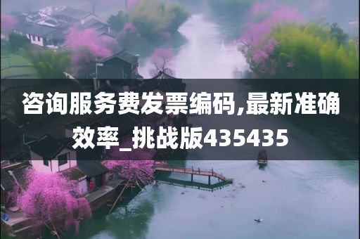 咨询服务费发票编码,最新准确效率_挑战版435435