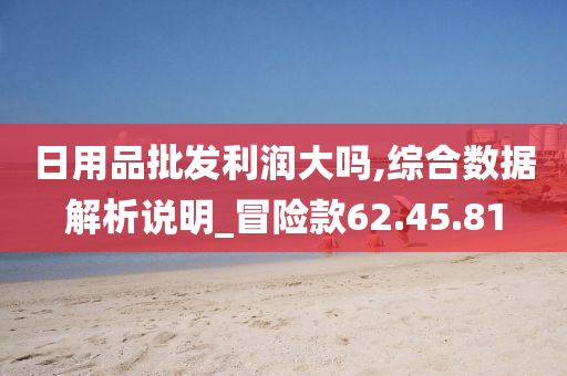 日用品批发利润大吗,综合数据解析说明_冒险款62.45.81