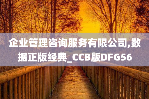 企业管理咨询服务有限公司,数据正版经典_CCB版DFG56