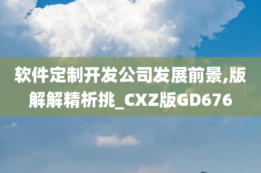 软件定制开发公司发展前景,版解解精析挑_CXZ版GD676