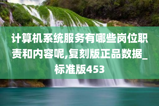 计算机系统服务有哪些岗位职责和内容呢,复刻版正品数据_标准版453