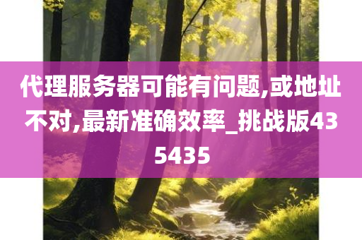 代理服务器可能有问题,或地址不对,最新准确效率_挑战版435435