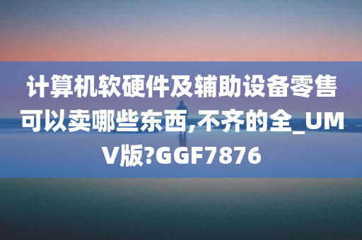 计算机软硬件及辅助设备零售可以卖哪些东西,不齐的全_UMV版?GGF7876