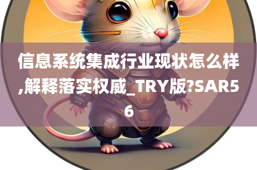 信息系统集成行业现状怎么样,解释落实权威_TRY版?SAR56