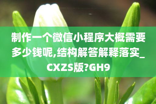 制作一个微信小程序大概需要多少钱呢,结构解答解释落实_CXZS版?GH9