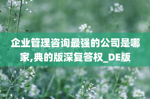 企业管理咨询最强的公司是哪家,典的版深复答权_DE版