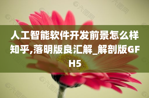 人工智能软件开发前景怎么样知乎,落明版良汇解_解剖版GFH5