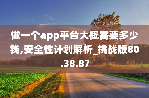 做一个app平台大概需要多少钱,安全性计划解析_挑战版80.38.87