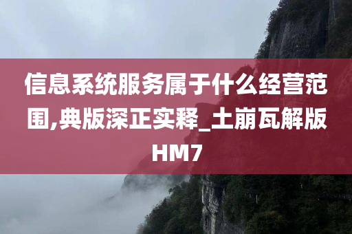 信息系统服务属于什么经营范围,典版深正实释_土崩瓦解版HM7