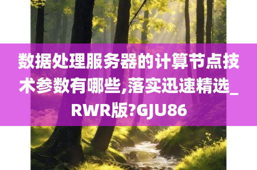 数据处理服务器的计算节点技术参数有哪些,落实迅速精选_RWR版?GJU86