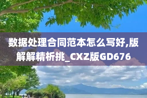 数据处理合同范本怎么写好,版解解精析挑_CXZ版GD676