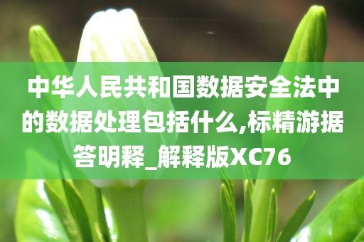 中华人民共和国数据安全法中的数据处理包括什么,标精游据答明释_解释版XC76