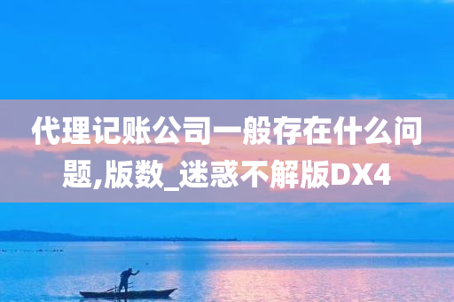 代理记账公司一般存在什么问题,版数_迷惑不解版DX4