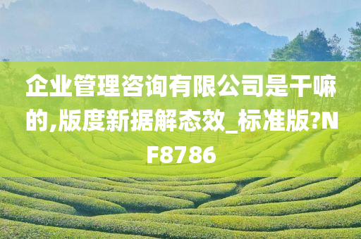 企业管理咨询有限公司是干嘛的,版度新据解态效_标准版?NF8786