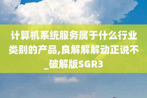 计算机系统服务属于什么行业类别的产品,良解解解动正说不_破解版SGR3