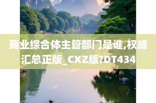 商业综合体主管部门是谁,权威汇总正版_CXZ版?DT434