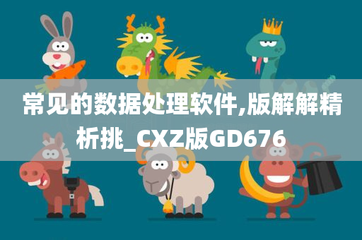 常见的数据处理软件,版解解精析挑_CXZ版GD676