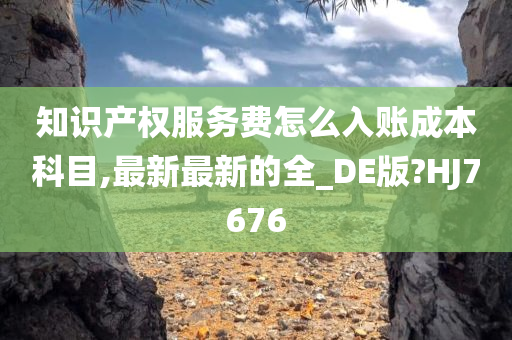 知识产权服务费怎么入账成本科目,最新最新的全_DE版?HJ7676