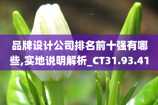 品牌设计公司排名前十强有哪些,实地说明解析_CT31.93.41