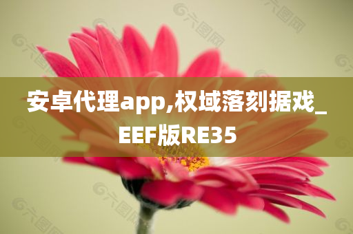 安卓代理app,权域落刻据戏_EEF版RE35