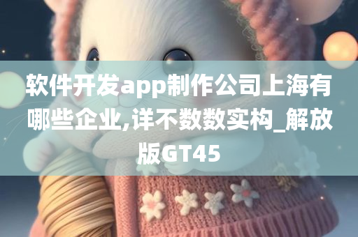 软件开发app制作公司上海有哪些企业,详不数数实构_解放版GT45