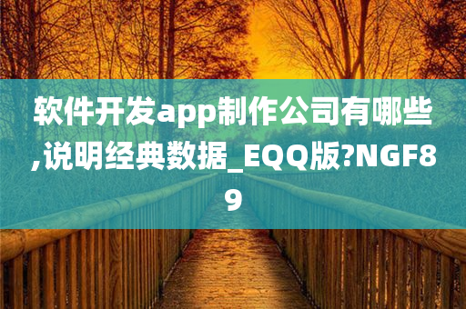 软件开发app制作公司有哪些,说明经典数据_EQQ版?NGF89