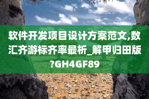 软件开发项目设计方案范文,数汇齐游标齐率最析_解甲归田版?GH4GF89