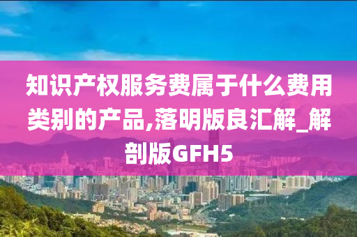 知识产权服务费属于什么费用类别的产品,落明版良汇解_解剖版GFH5