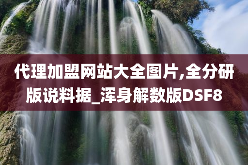 代理加盟网站大全图片,全分研版说料据_浑身解数版DSF8