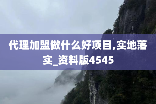 代理加盟做什么好项目,实地落实_资料版4545