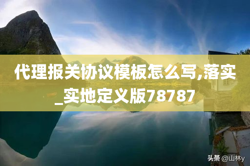 代理报关协议模板怎么写,落实_实地定义版78787