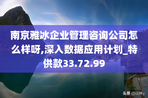 南京雅冰企业管理咨询公司怎么样呀,深入数据应用计划_特供款33.72.99