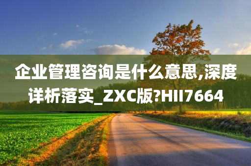 企业管理咨询是什么意思,深度详析落实_ZXC版?HII7664